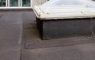 disadvantages of Fordbridge flat roofs